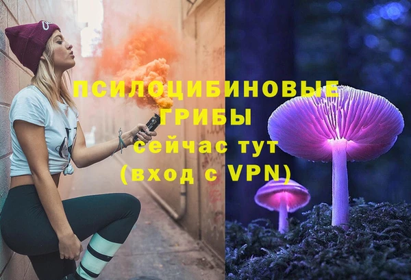 apvp Балахна