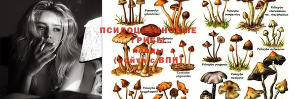 mdpv Балабаново