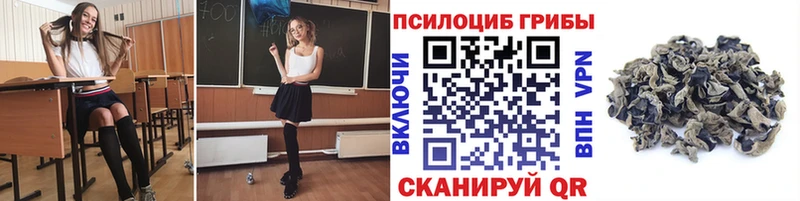закладки  Белинский  Галлюциногенные грибы мицелий 